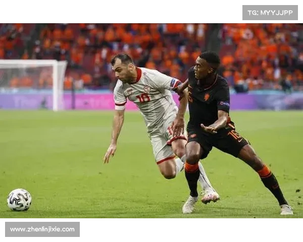 欧锦赛攻略秘籍：称霸绿茵场的必胜法门