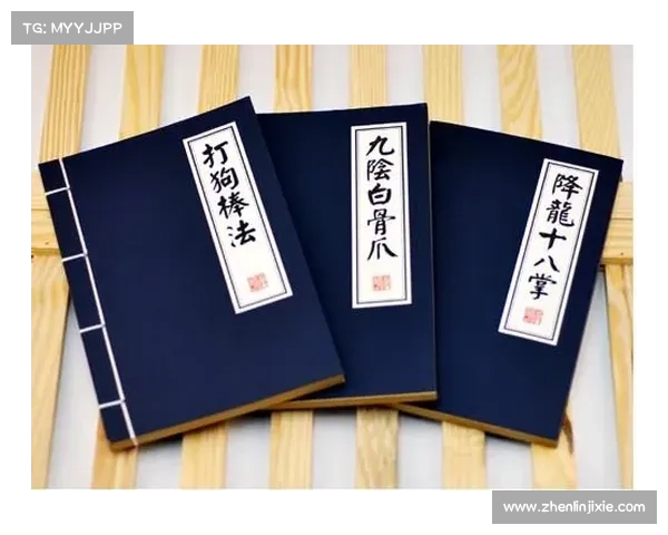 武侠 攻略-武侠攻略黄药师：武林秘籍：秘笈大全，驰骋江湖