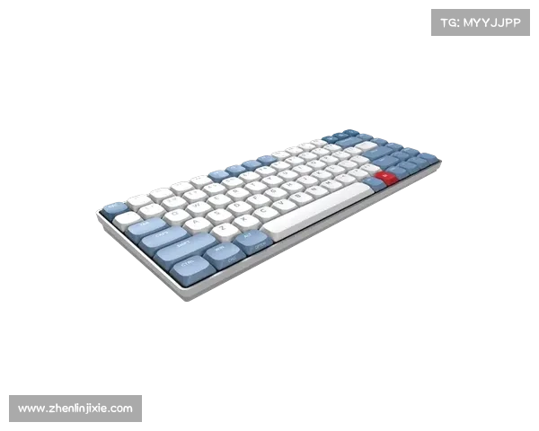 红警强健键盘：打造高效办公利器