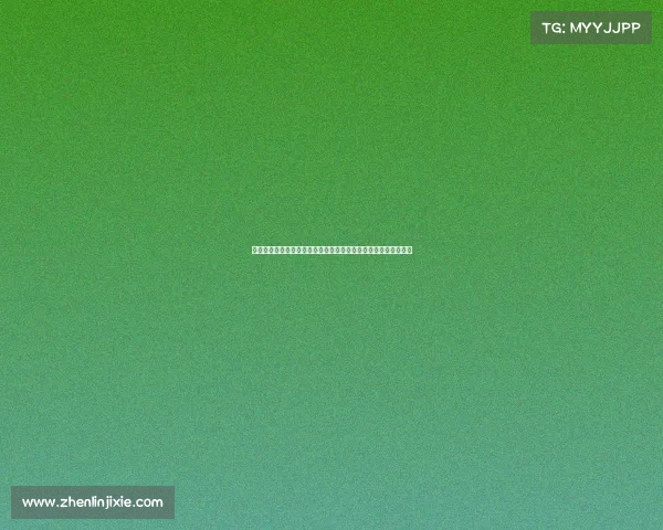 电子竞技有名选手王者峡谷的巾帼传奇：她们用键盘改写电竞历史