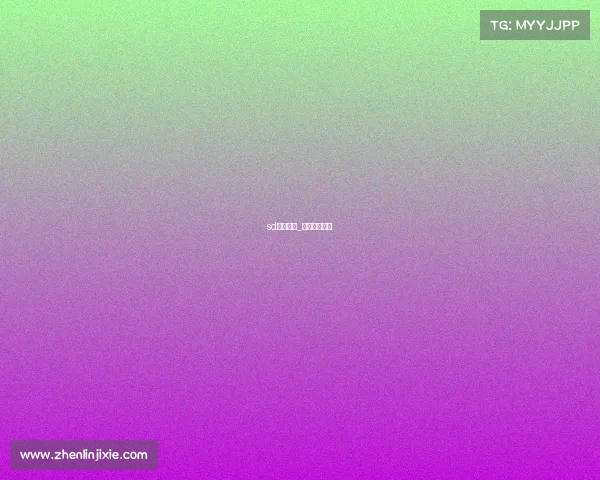 sd电子竞技_山东电子竞技